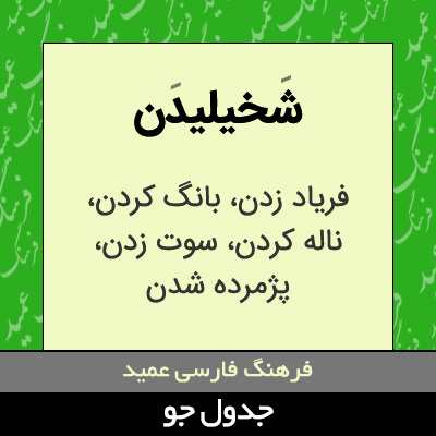 تصویری از شخیلیدن