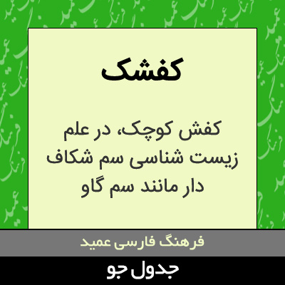 تصویری از کفشک