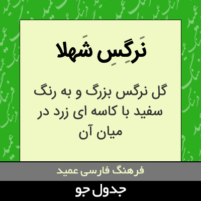 تصویری از نرگس شهلا