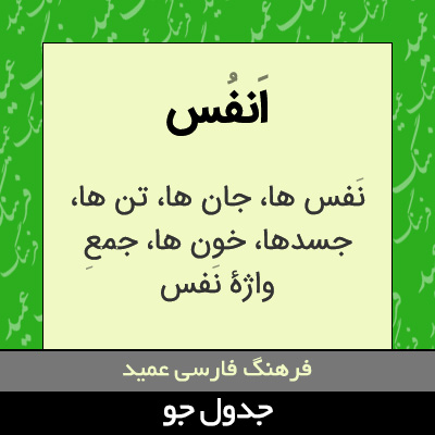 تصویری از انفس