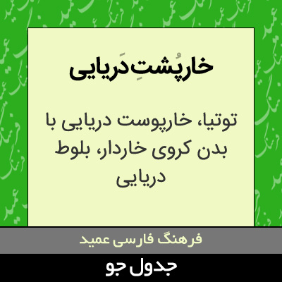 تصویری از خارپشت دریایی