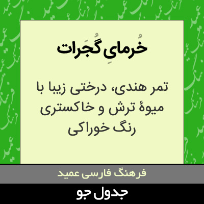 تصویری از خرمای گجرات