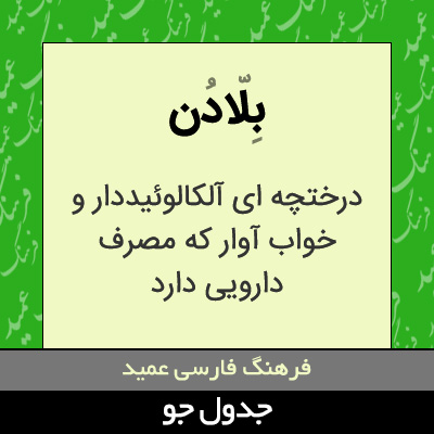 تصویری از بلادن