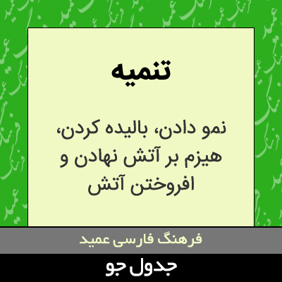 تصویری از تنمیه