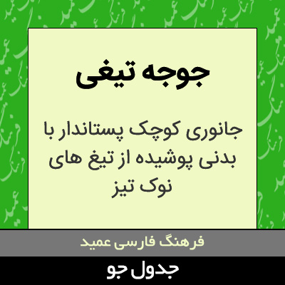 تصویری از جوجه تیغی