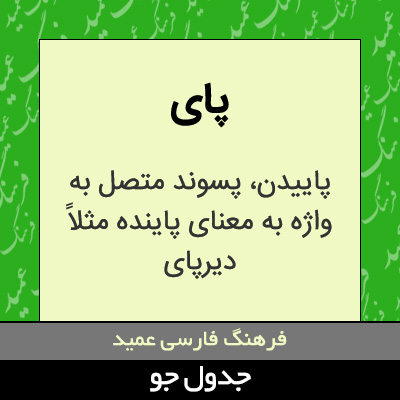 تصویری از پای