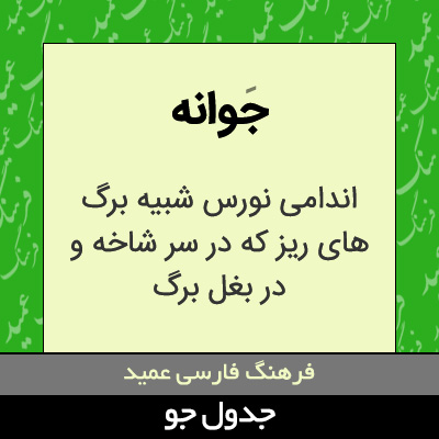 تصویری از جوانه