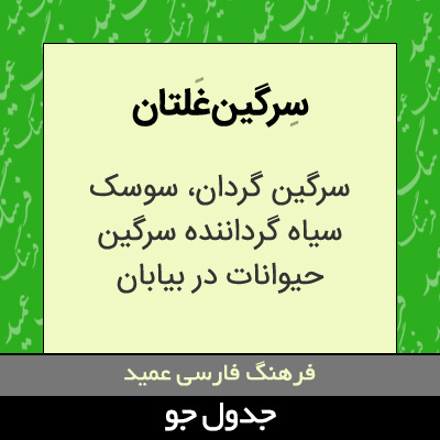 تصویری از سرگین غلتان