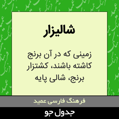 تصویری از شالیزار