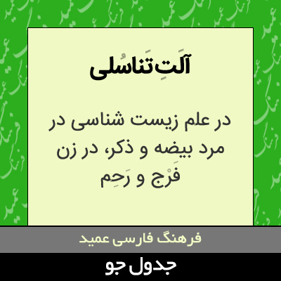 تصویری از آلت تناسلی