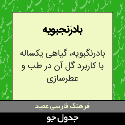 تصویری از بادرنجبویه