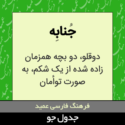 تصویری از جنابه