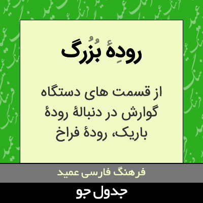 تصویری از روده بزرگ