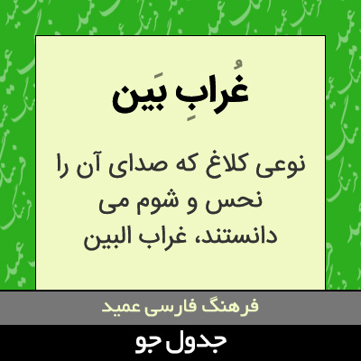 تصویری از غراب بین