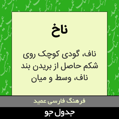 تصویری از ناخ