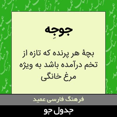 تصویری از جوجه