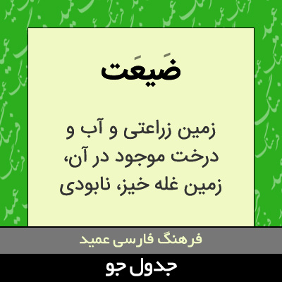 تصویری از ضیعت