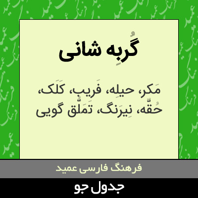 تصویری از گربه شانی