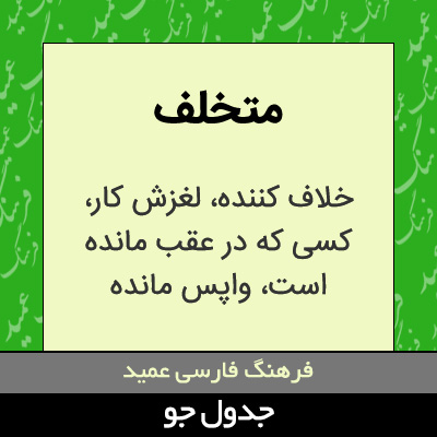 تصویری از متخلف