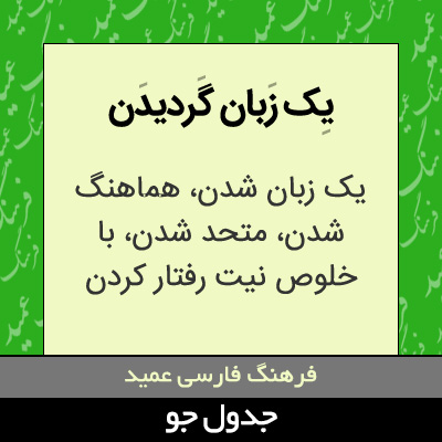 تصویری از یک زبان گردیدن