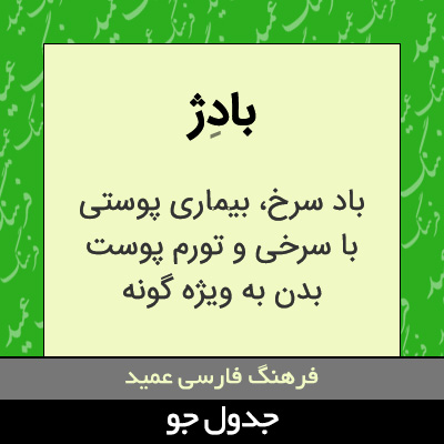 تصویری از بادژ