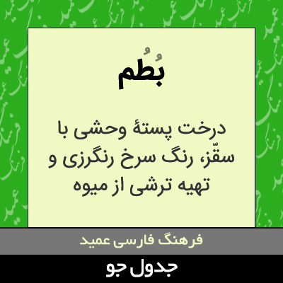 تصویری از بطم