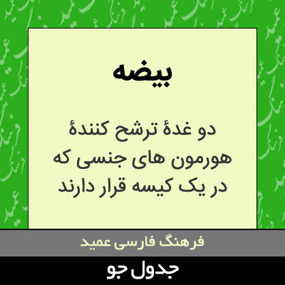 تصویری از بیضه