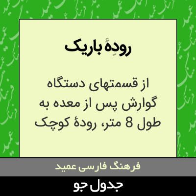 تصویری از روده باریک