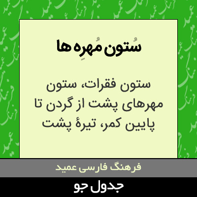 تصویری از ستون مهره ها