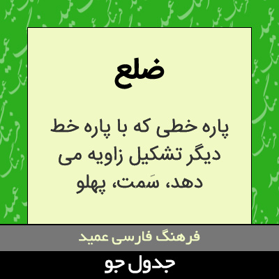 تصویری از ضلع