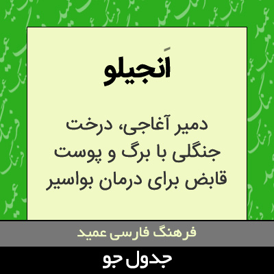 تصویری از انجیلو