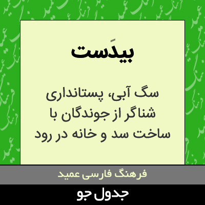 تصویری از بیدست