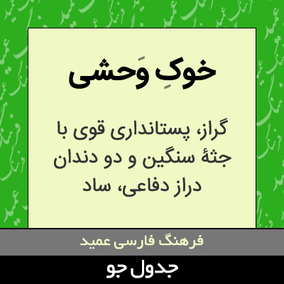 تصویری از خوک وحشی