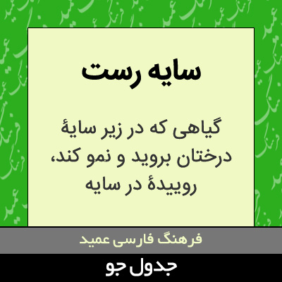 تصویری از سایه رست