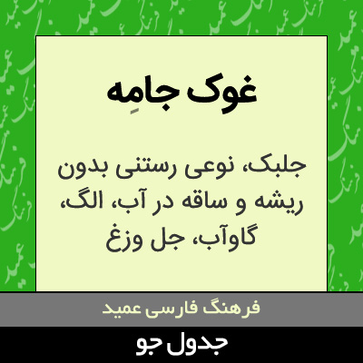 تصویری از غوک جامه