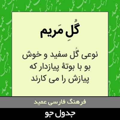 تصویری از گل مریم