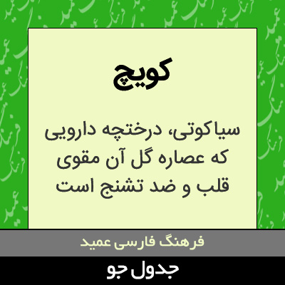 تصویری از کویچ