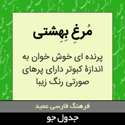 تصویری از مرغ بهشتی