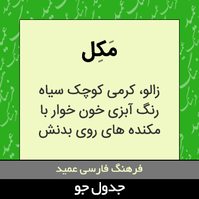 تصویری از مکل