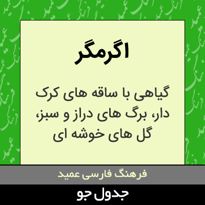 تصویری از اگرمگر