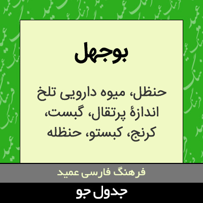 تصویری از بوجهل