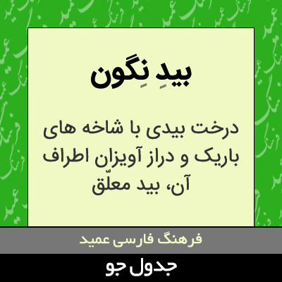 تصویری از بید نگون