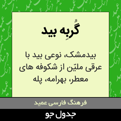 تصویری از گربه بید