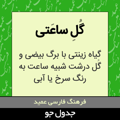 تصویری از گل ساعتی