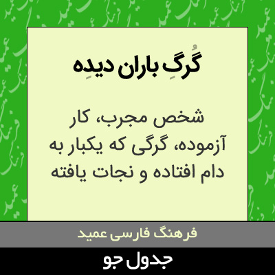 تصویری از گرگ باران دیده