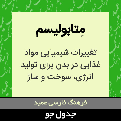 تصویری از متابولیسم