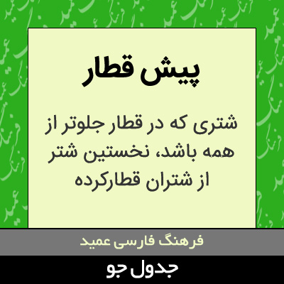 تصویری از پیش قطار