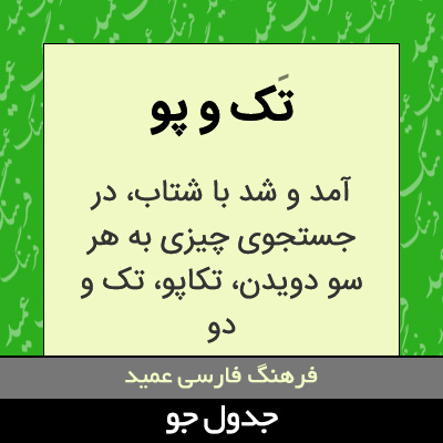 تصویری از تک و پو