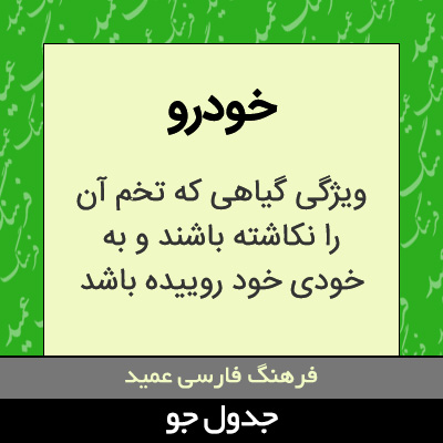 تصویری از خودرو