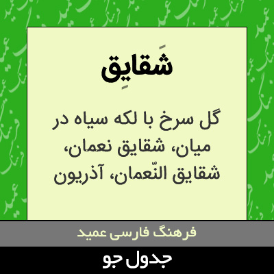 تصویری از شقایق